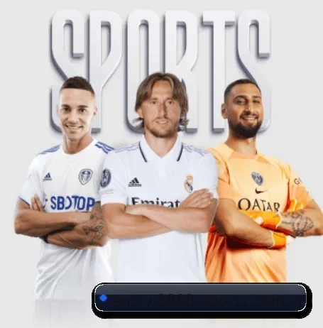 m.entry-8868-sports.com.cn APP 界面
